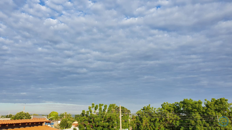 MS teve nevoeiro em oito municípios; Aral Moreira foi cidade mais fria -  Meio Ambiente - Campo Grande News