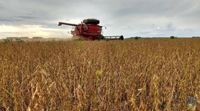 Em mais um ano de safra recorde, MS deve passar de 17 mil toneladas de grãos em 2018