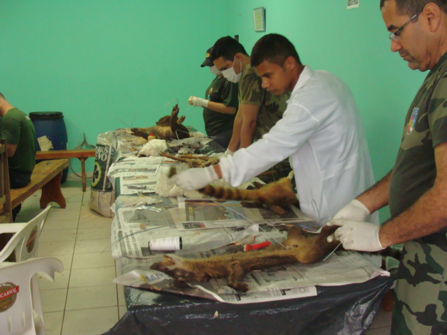 PMA ministra curso de taxidermia para alunos da UFGD em Dourados